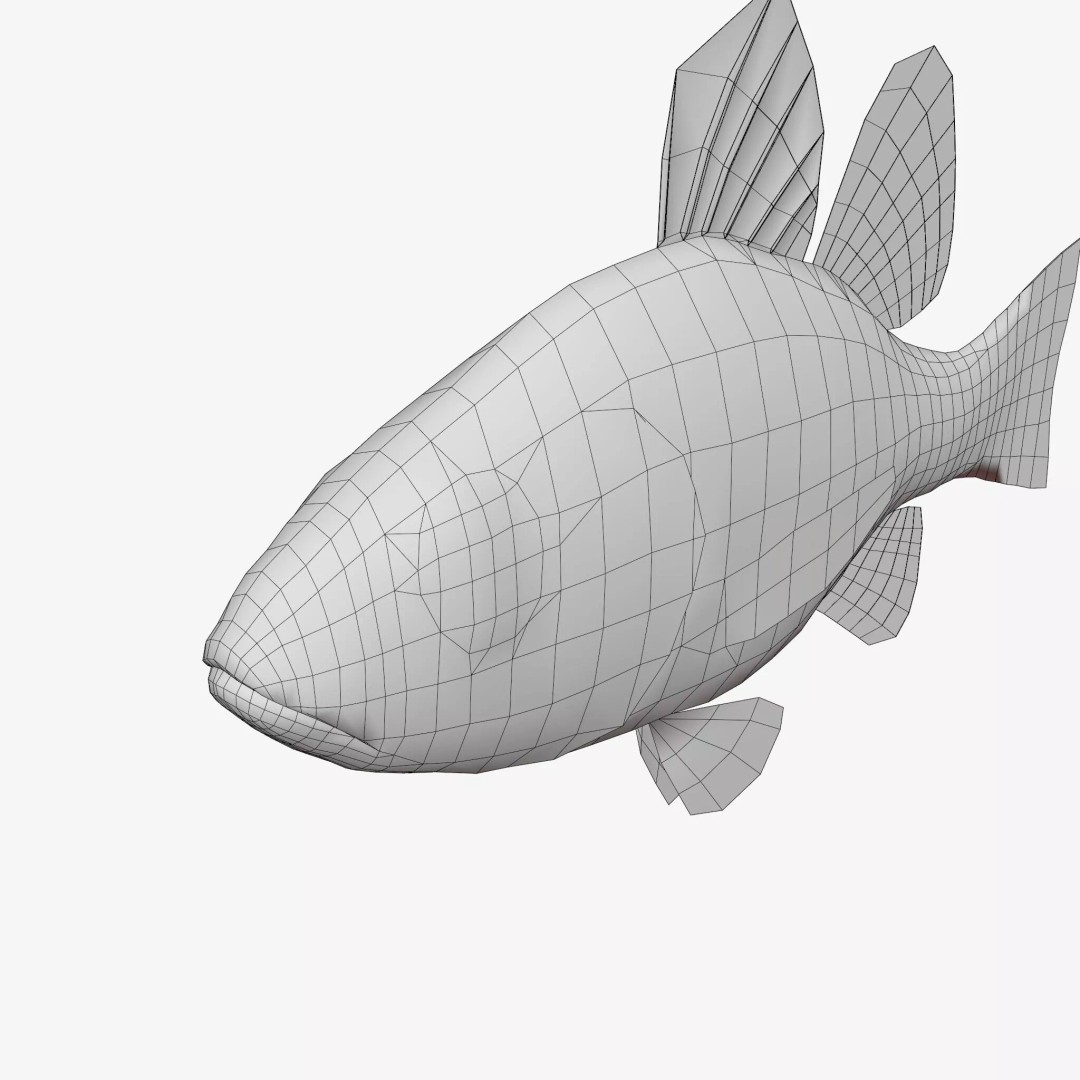 Doederleins Cardinalfish 3D Model – Low Poly PBR Fish Asset, FBX - View 9
