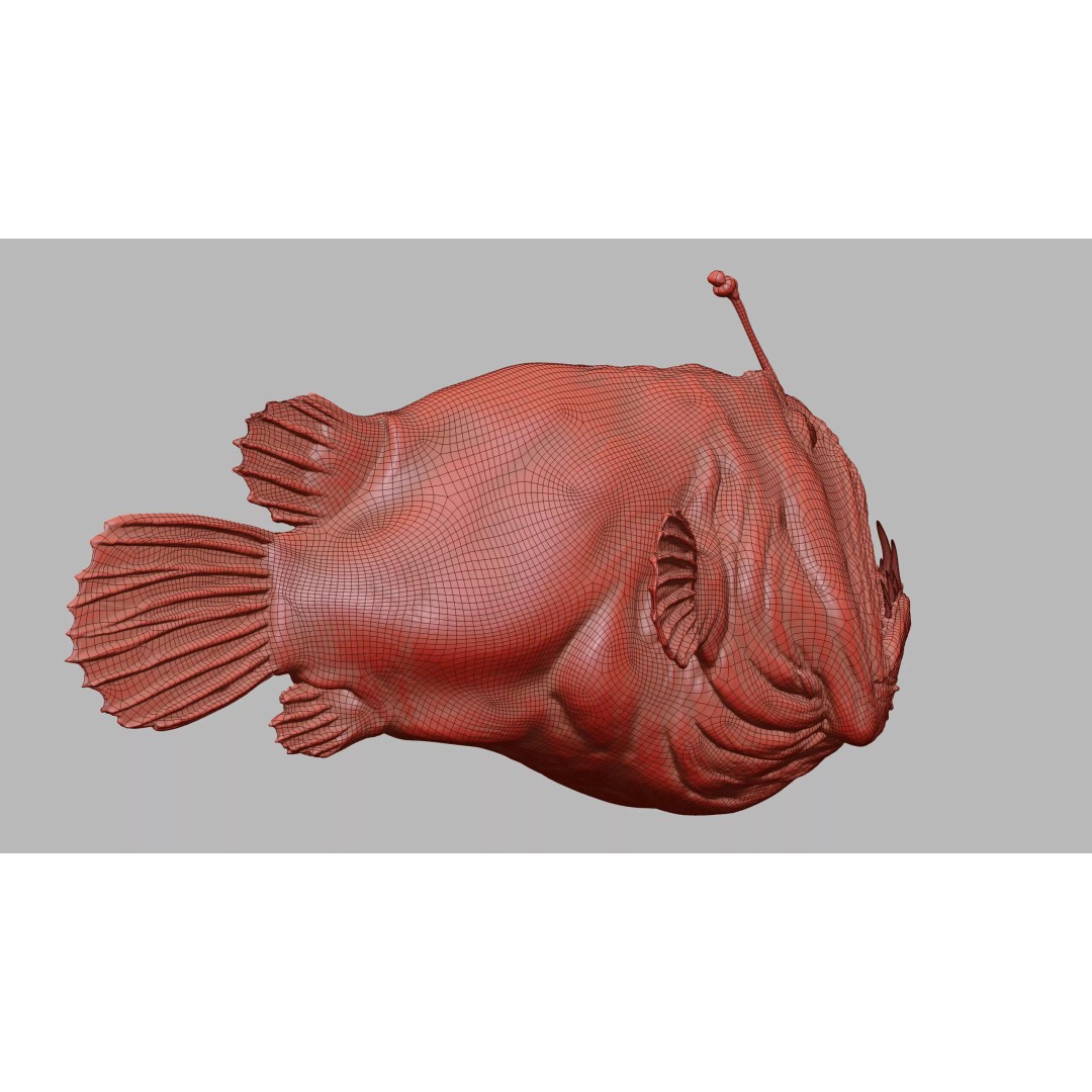 Deep Sea Anglerfish 3D Model – Low Poly Game Asset, FBX