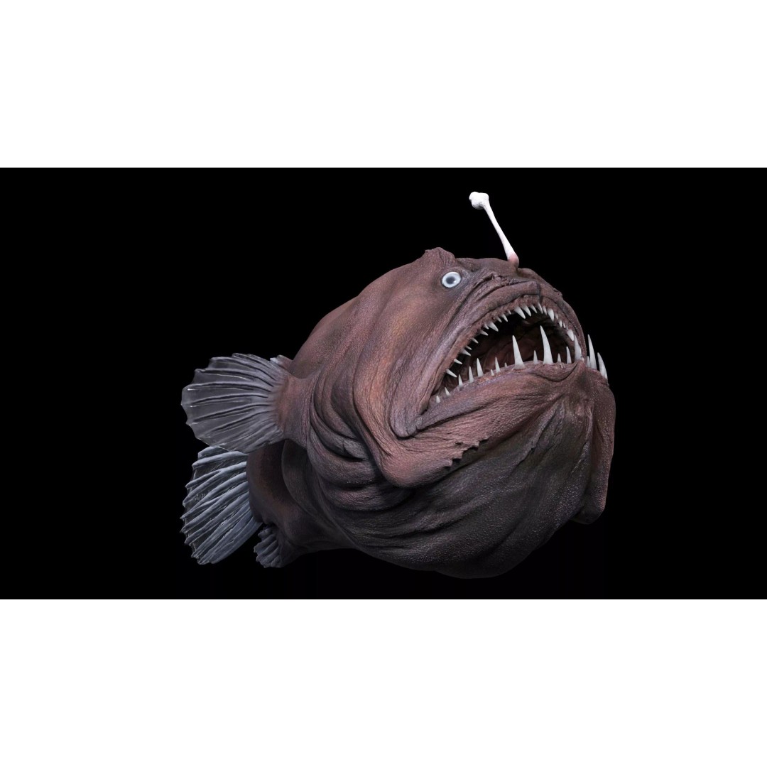 Deep Sea Anglerfish 3D Model – Low Poly Game Asset, FBX - View 2