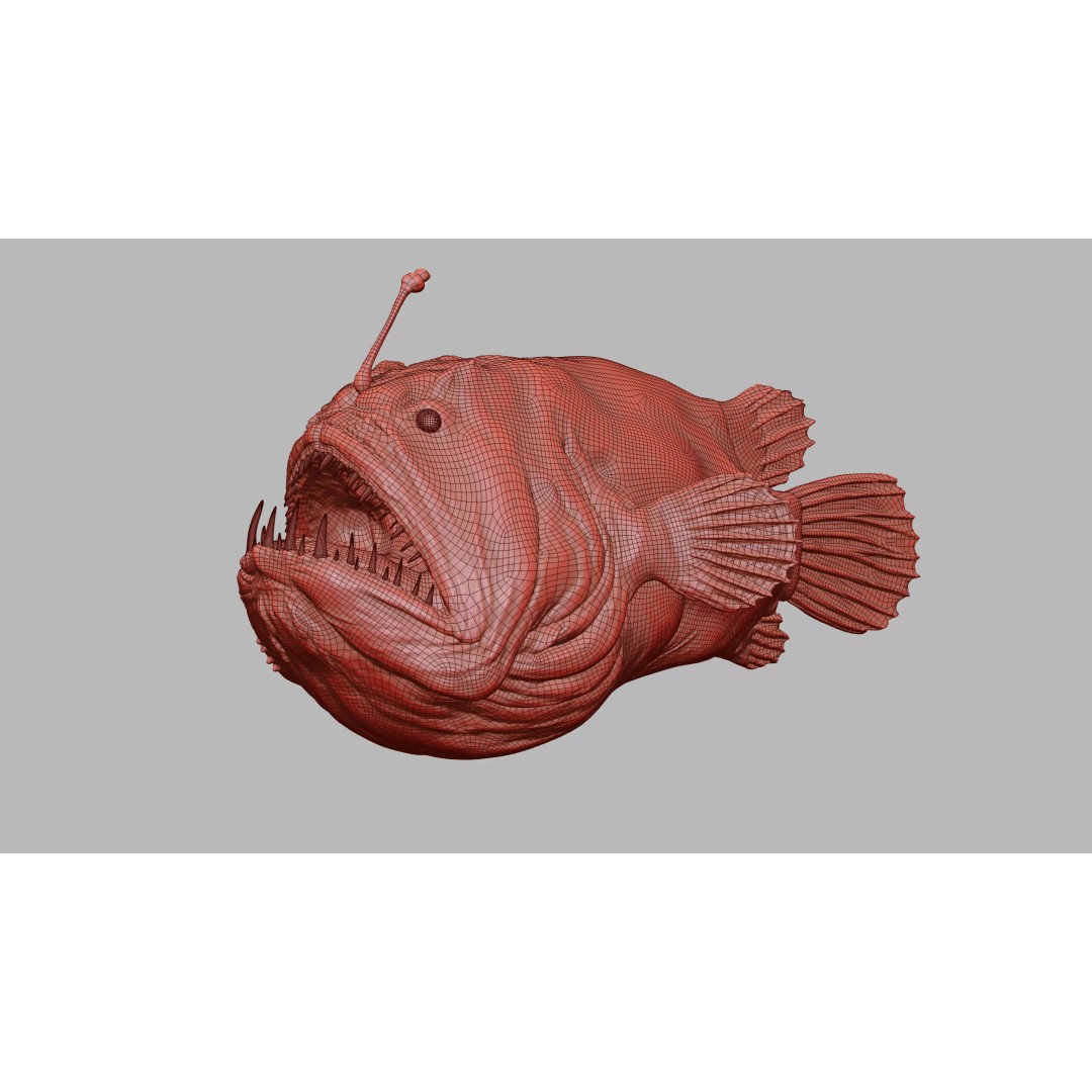Deep Sea Anglerfish 3D Model – Low Poly Game Asset, FBX - View 32