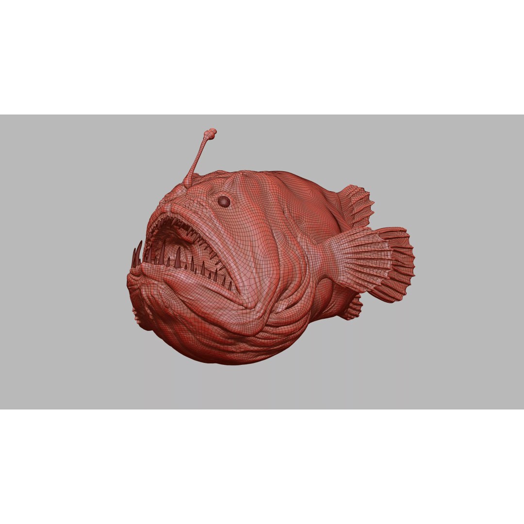 Deep Sea Anglerfish 3D Model – Low Poly Game Asset, FBX - View 33