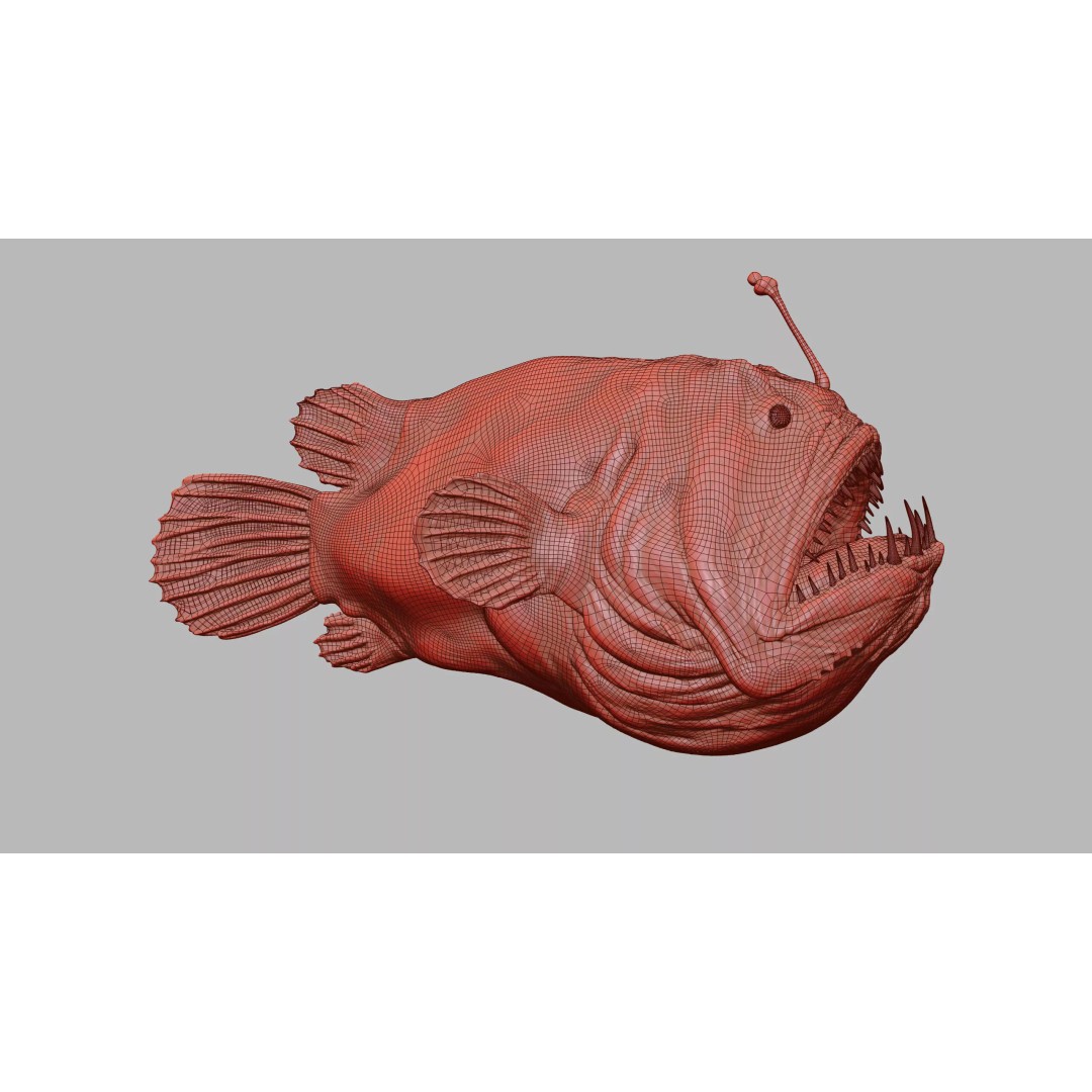 Deep Sea Anglerfish 3D Model – Low Poly Game Asset, FBX - View 36