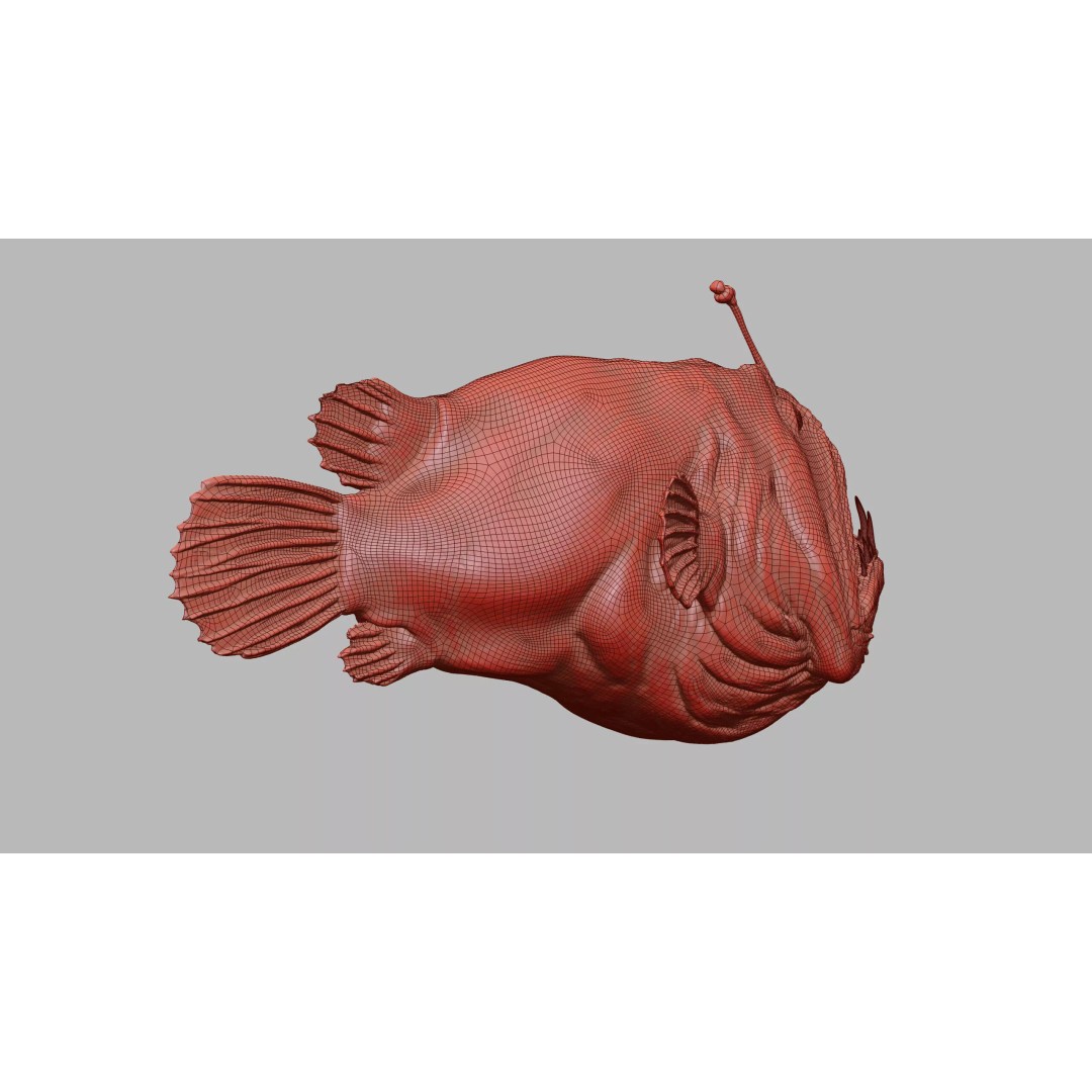 Deep Sea Anglerfish 3D Model – Low Poly Game Asset, FBX - View 37