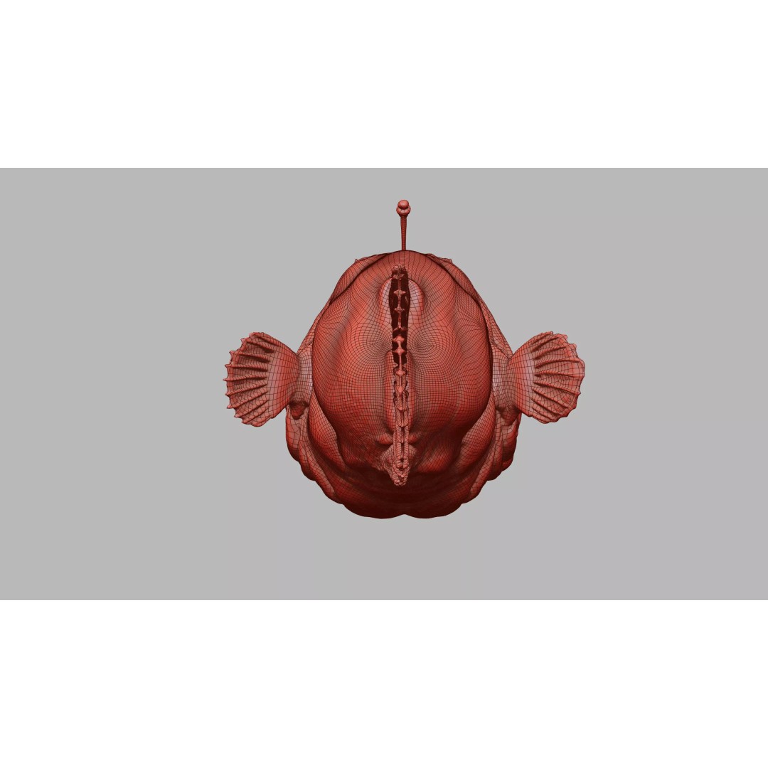 Deep Sea Anglerfish 3D Model – Low Poly Game Asset, FBX - View 38