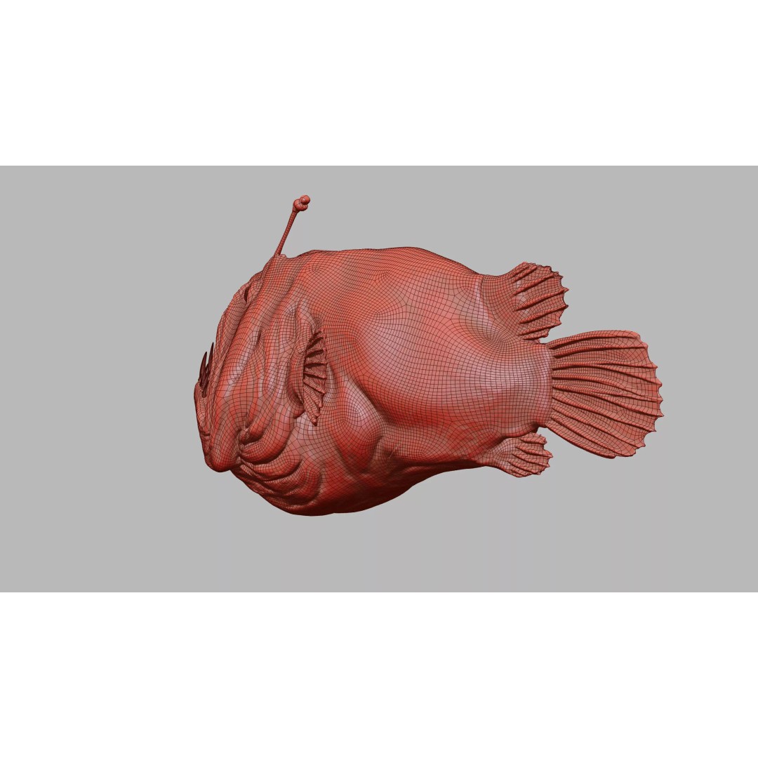 Deep Sea Anglerfish 3D Model – Low Poly Game Asset, FBX - View 39