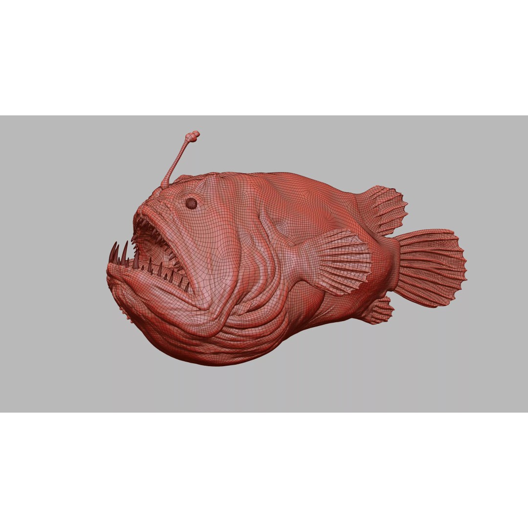 Deep Sea Anglerfish 3D Model – Low Poly Game Asset, FBX - View 4