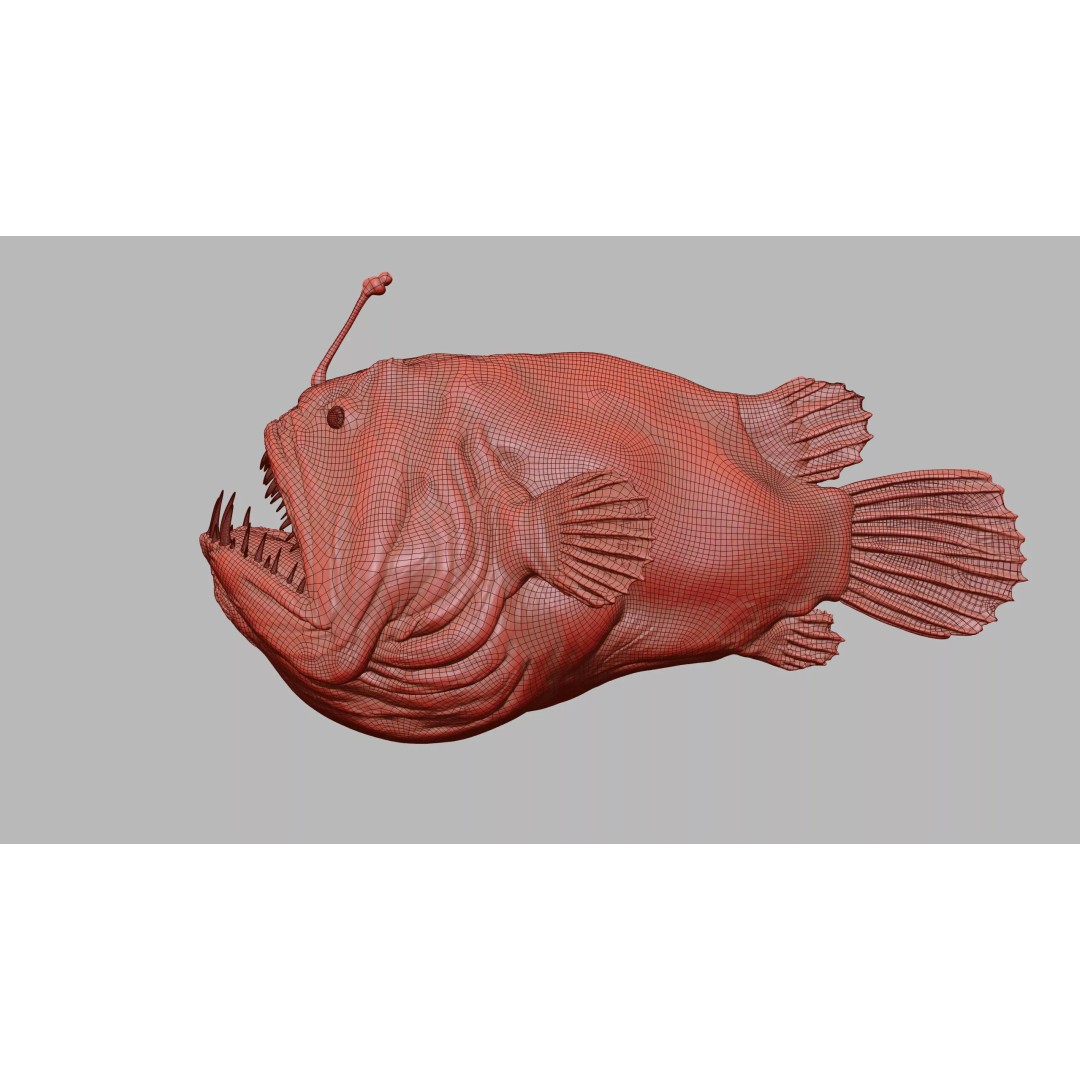 Deep Sea Anglerfish 3D Model – Low Poly Game Asset, FBX - View 40