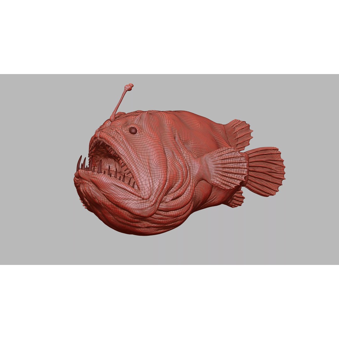 Deep Sea Anglerfish 3D Model – Low Poly Game Asset, FBX - View 41