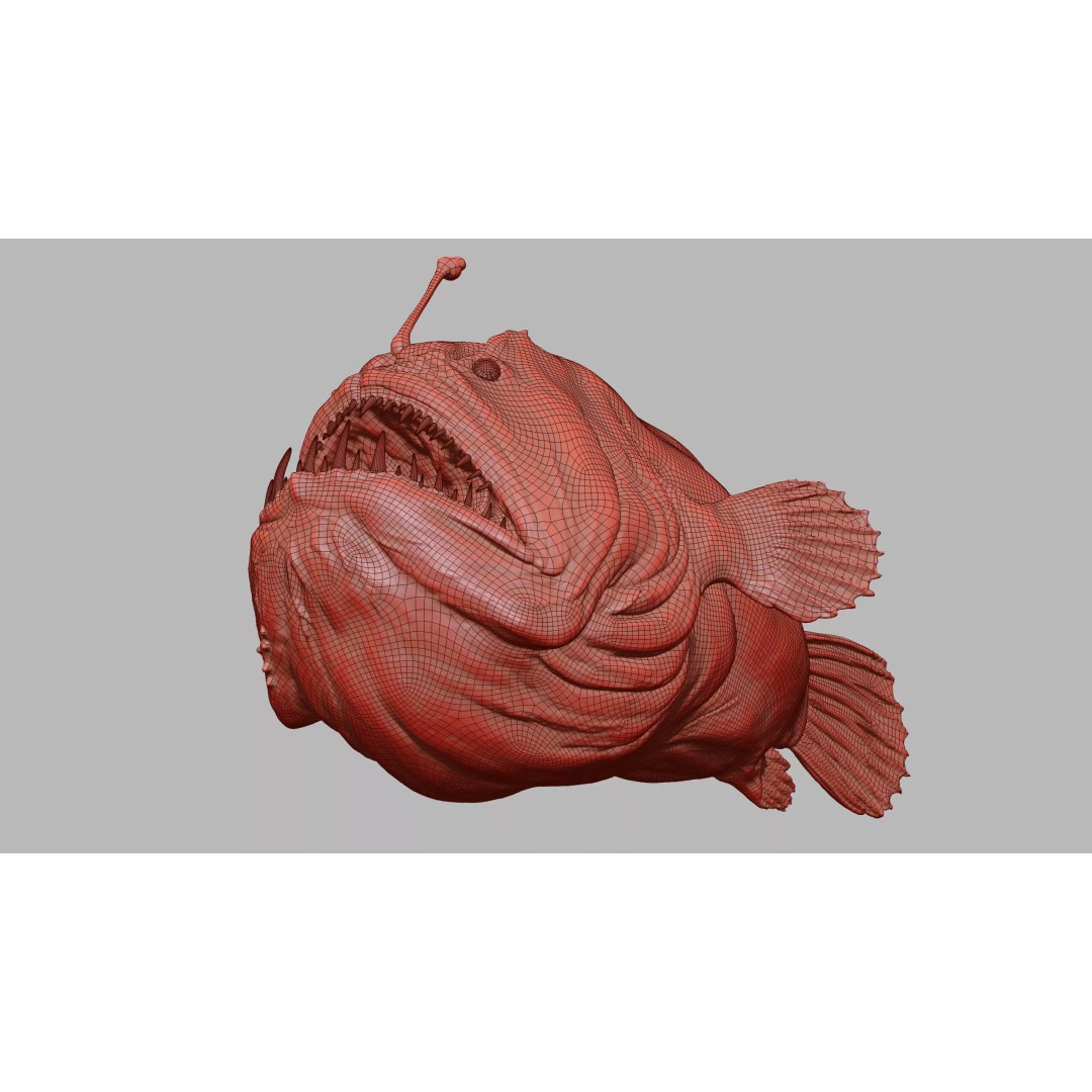 Deep Sea Anglerfish 3D Model – Low Poly Game Asset, FBX - View 42