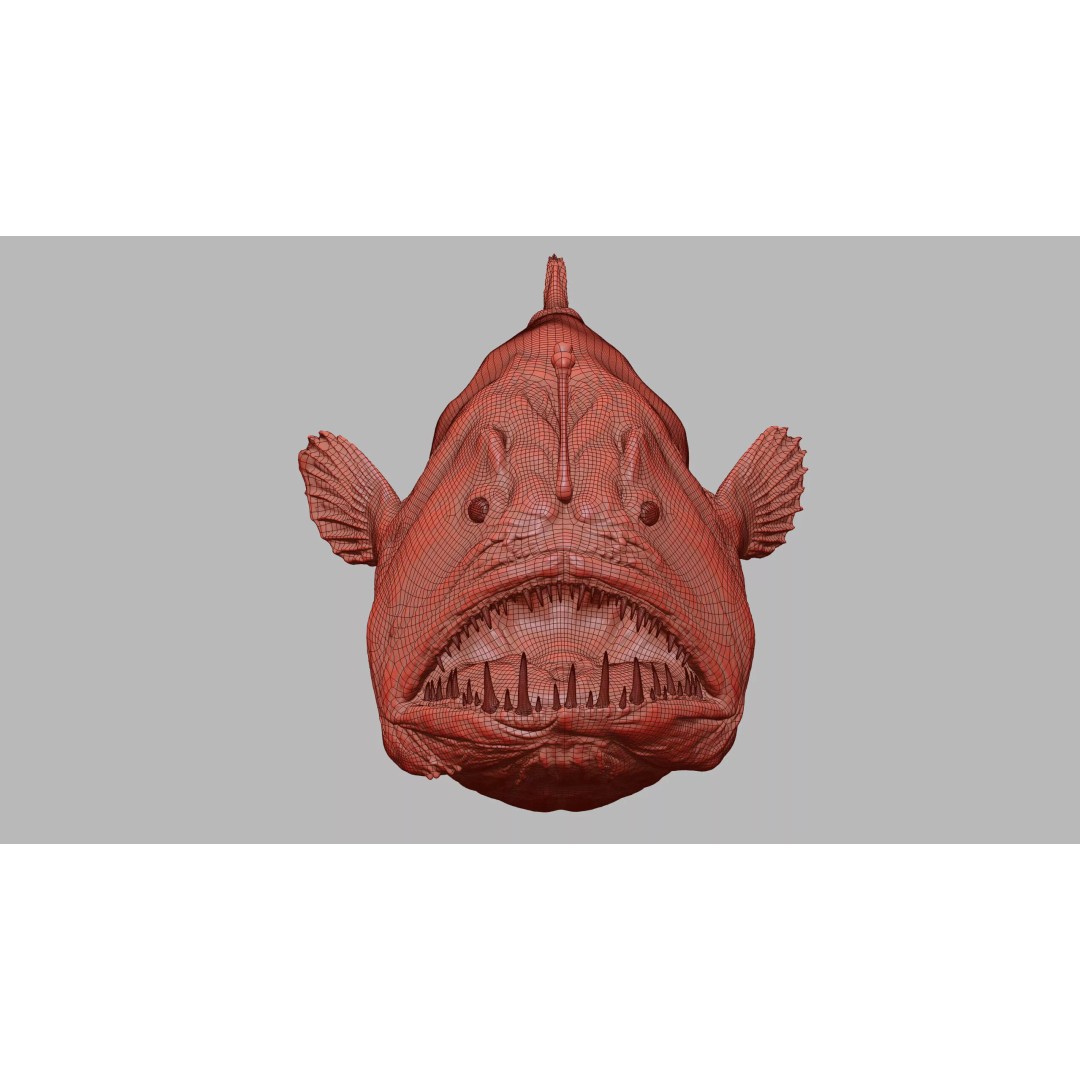 Deep Sea Anglerfish 3D Model – Low Poly Game Asset, FBX - View 44