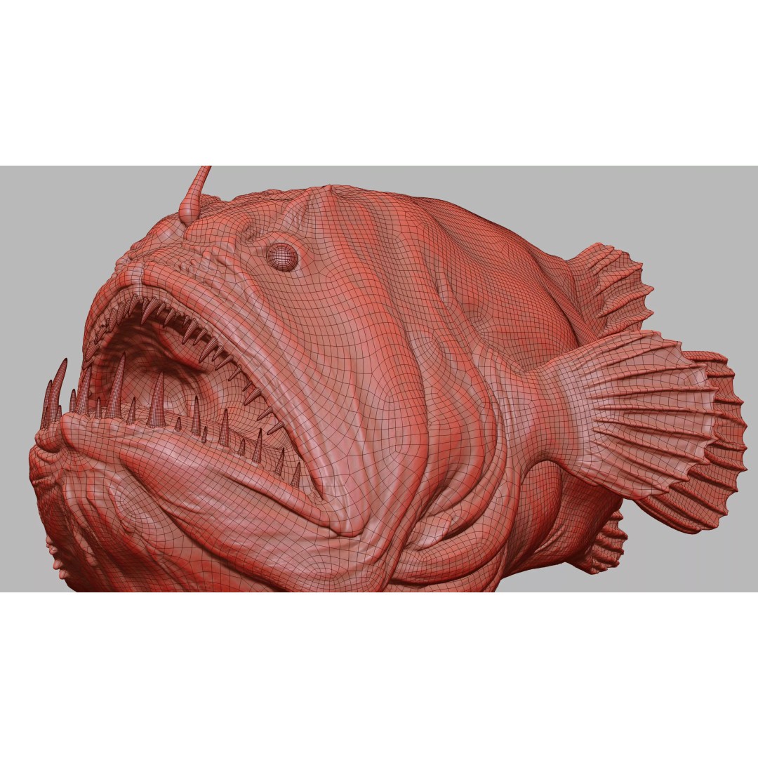 Deep Sea Anglerfish 3D Model – Low Poly Game Asset, FBX - View 45