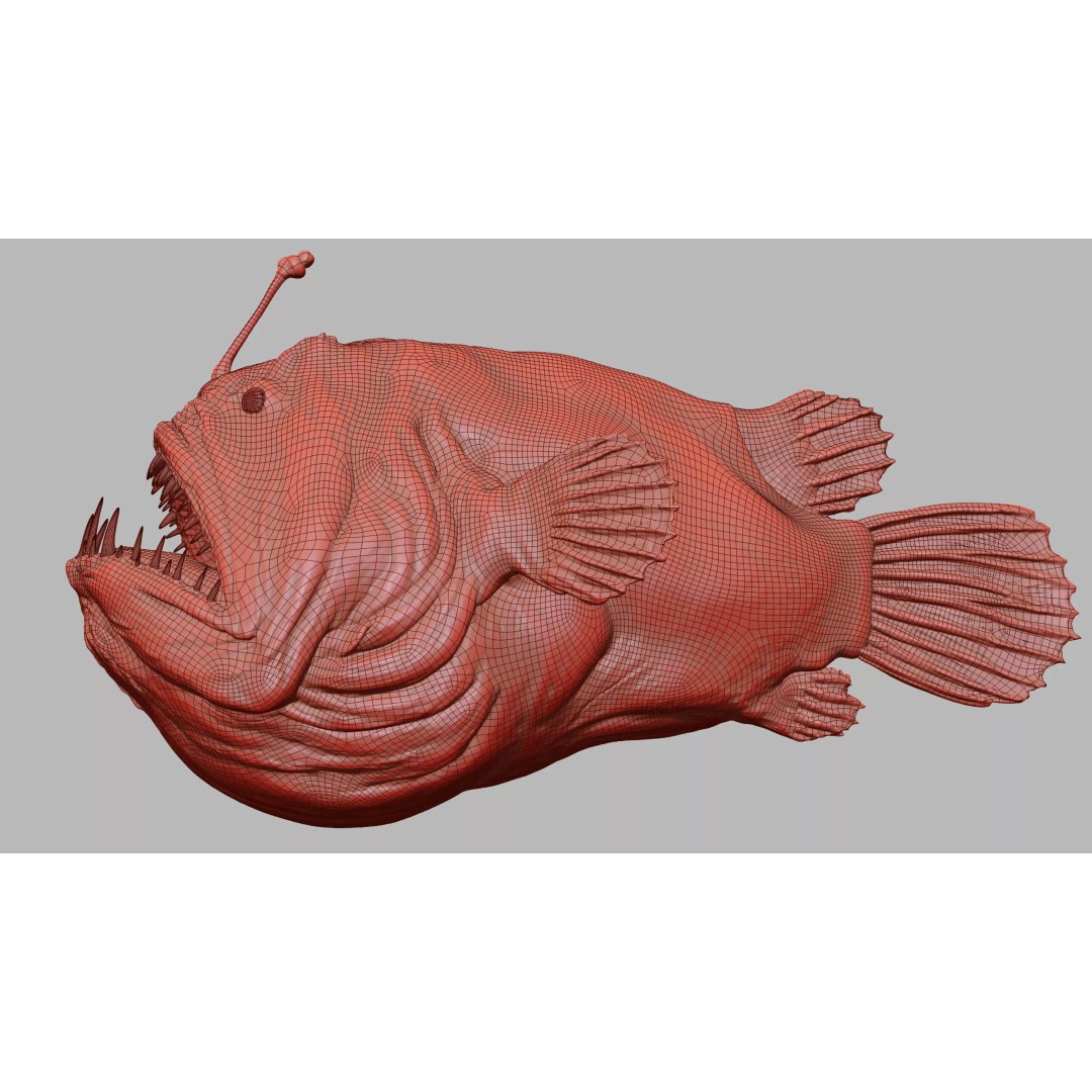 Deep Sea Anglerfish 3D Model – Low Poly Game Asset, FBX - View 46