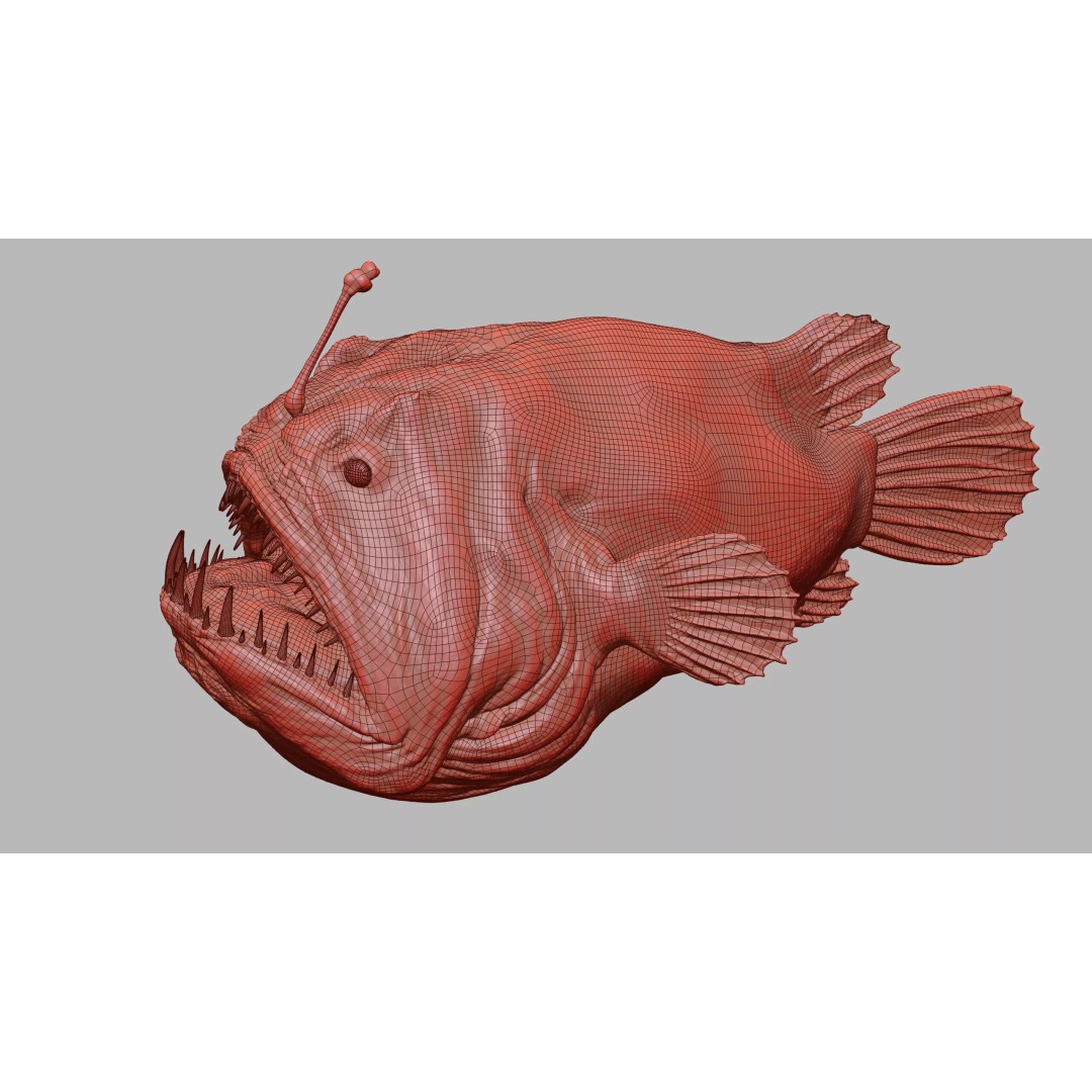 Deep Sea Anglerfish 3D Model – Low Poly Game Asset, FBX - View 50