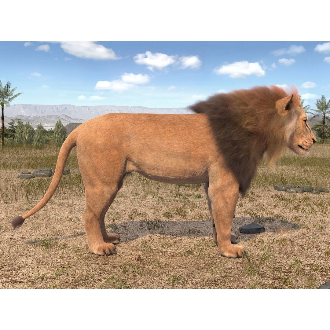 Lion The King 3D Model – High Poly Rigged Animal with Hair and Fur - View 12