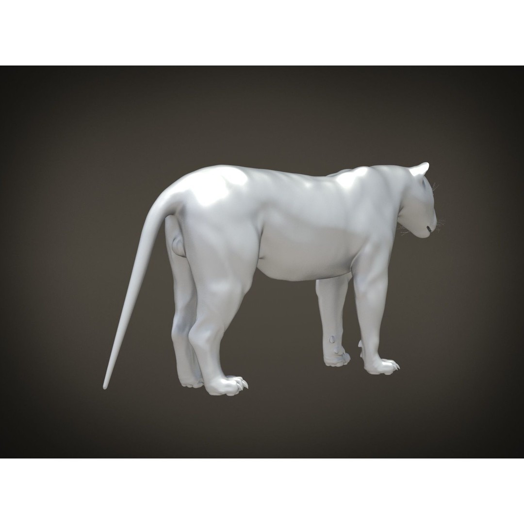 Lion The King 3D Model – High Poly Rigged Animal with Hair and Fur - View 15