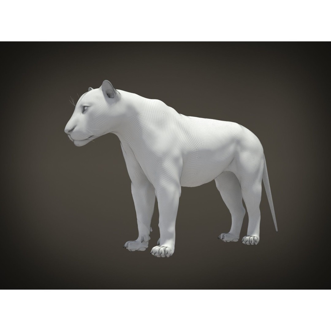 Lion The King 3D Model – High Poly Rigged Animal with Hair and Fur - View 16