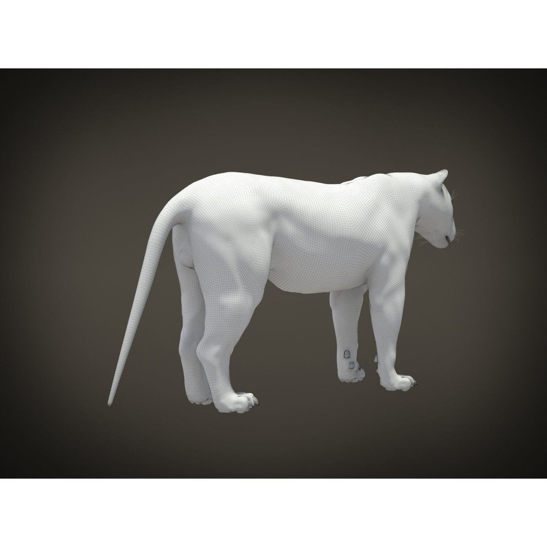 Lion The King 3D Model – High Poly Rigged Animal with Hair and Fur - View 19