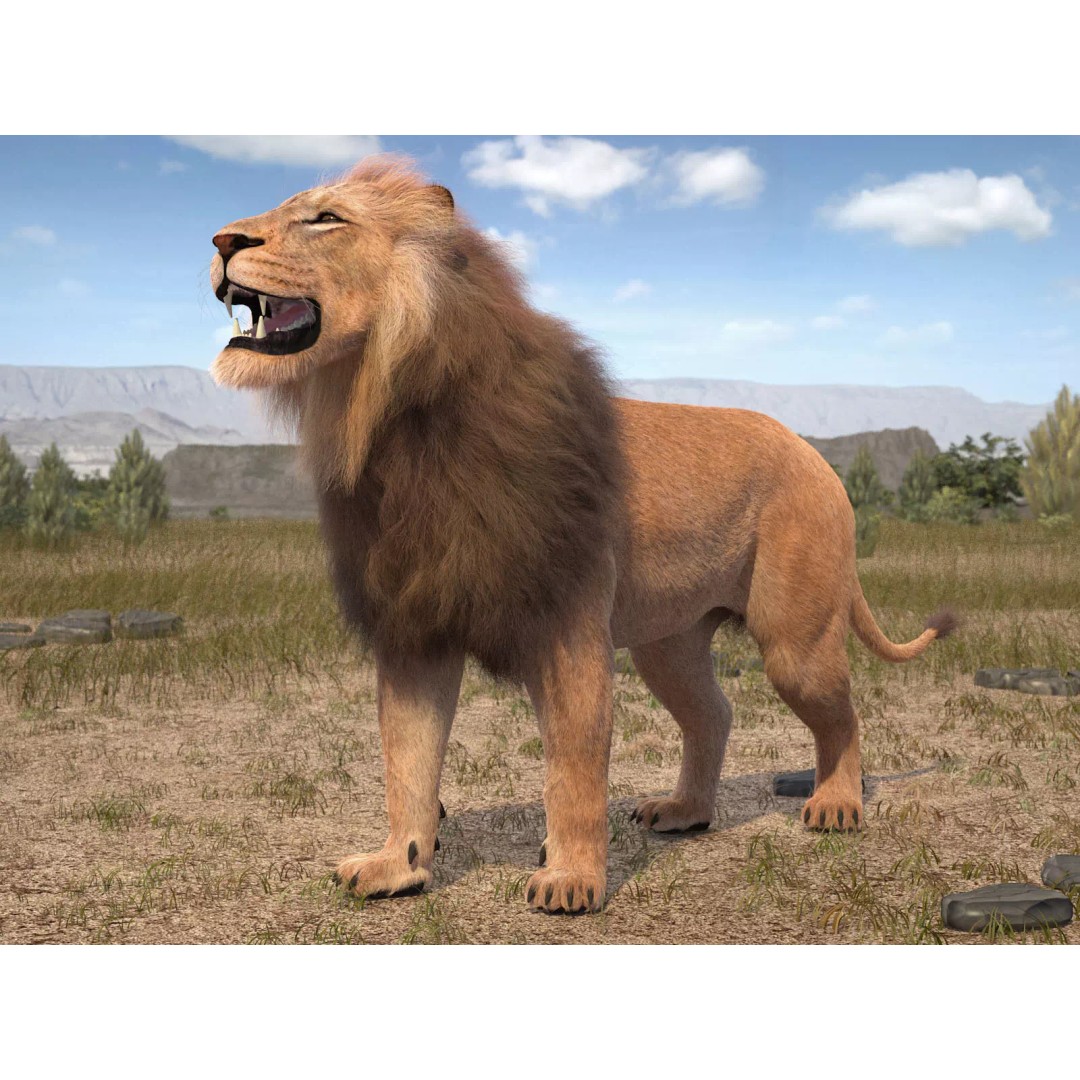 Lion The King 3D Model – High Poly Rigged Animal with Hair and Fur - View 2