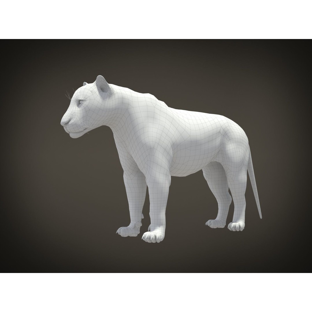 Lion The King 3D Model – High Poly Rigged Animal with Hair and Fur - View 20