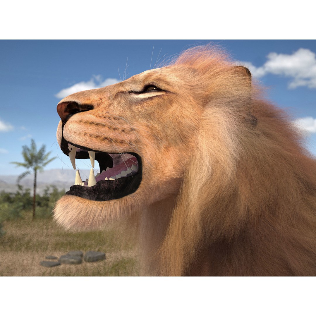 Lion The King 3D Model – High Poly Rigged Animal with Hair and Fur - View 3