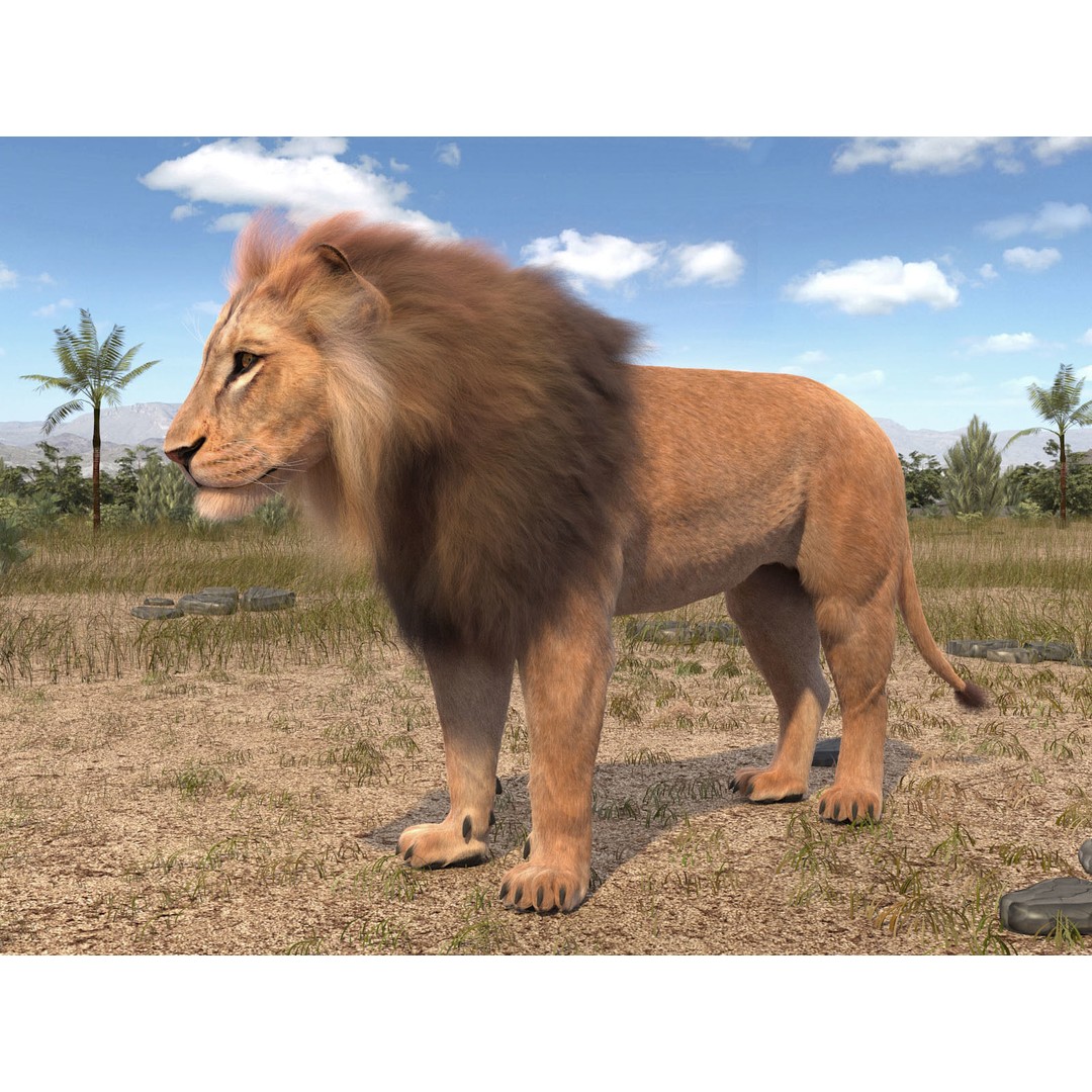 Lion The King 3D Model – High Poly Rigged Animal with Hair and Fur - View 4