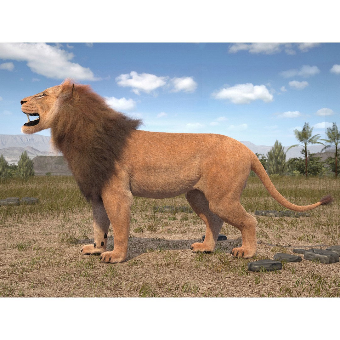 Lion The King 3D Model – High Poly Rigged Animal with Hair and Fur - View 5