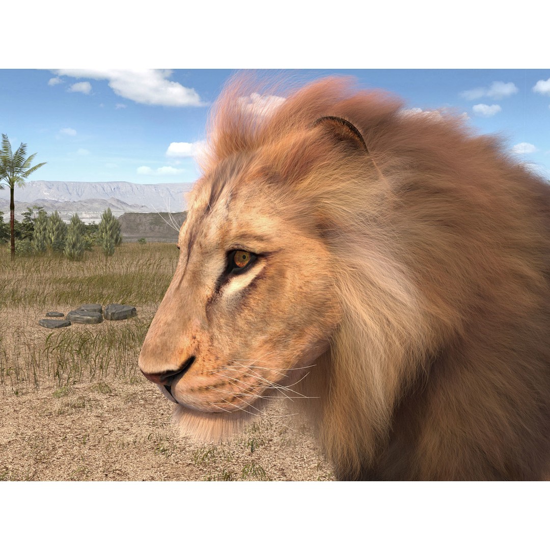 Lion The King 3D Model – High Poly Rigged Animal with Hair and Fur - View 6