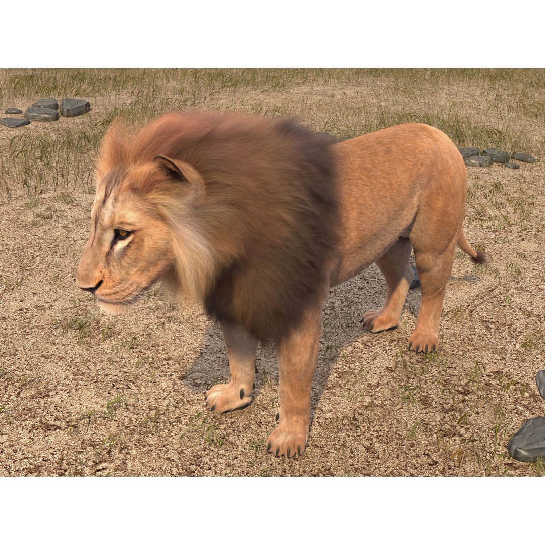Lion The King 3D Model – High Poly Rigged Animal with Hair and Fur - View 7