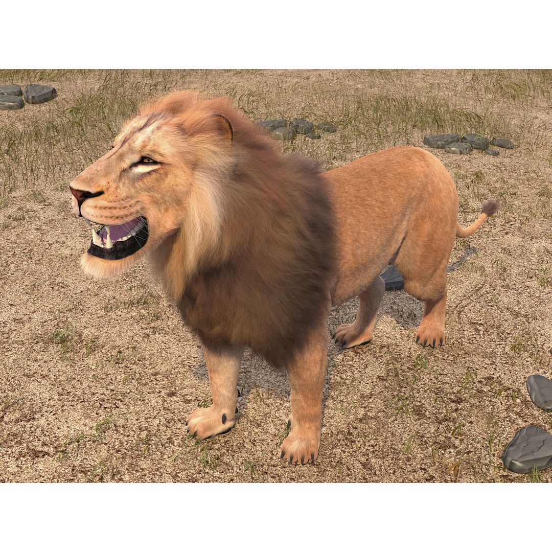 Lion The King 3D Model – High Poly Rigged Animal with Hair and Fur - View 8