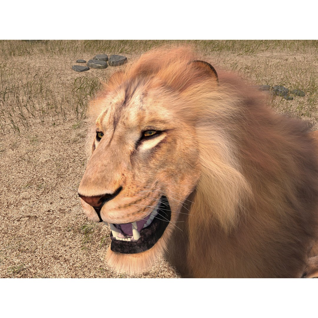 Lion The King 3D Model – High Poly Rigged Animal with Hair and Fur - View 9
