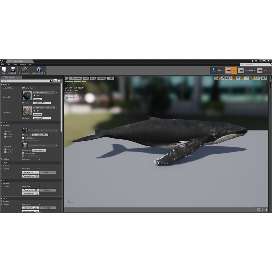 Humpback Whale 3D Model – Low Poly Game Asset for Unreal Engine - View 18