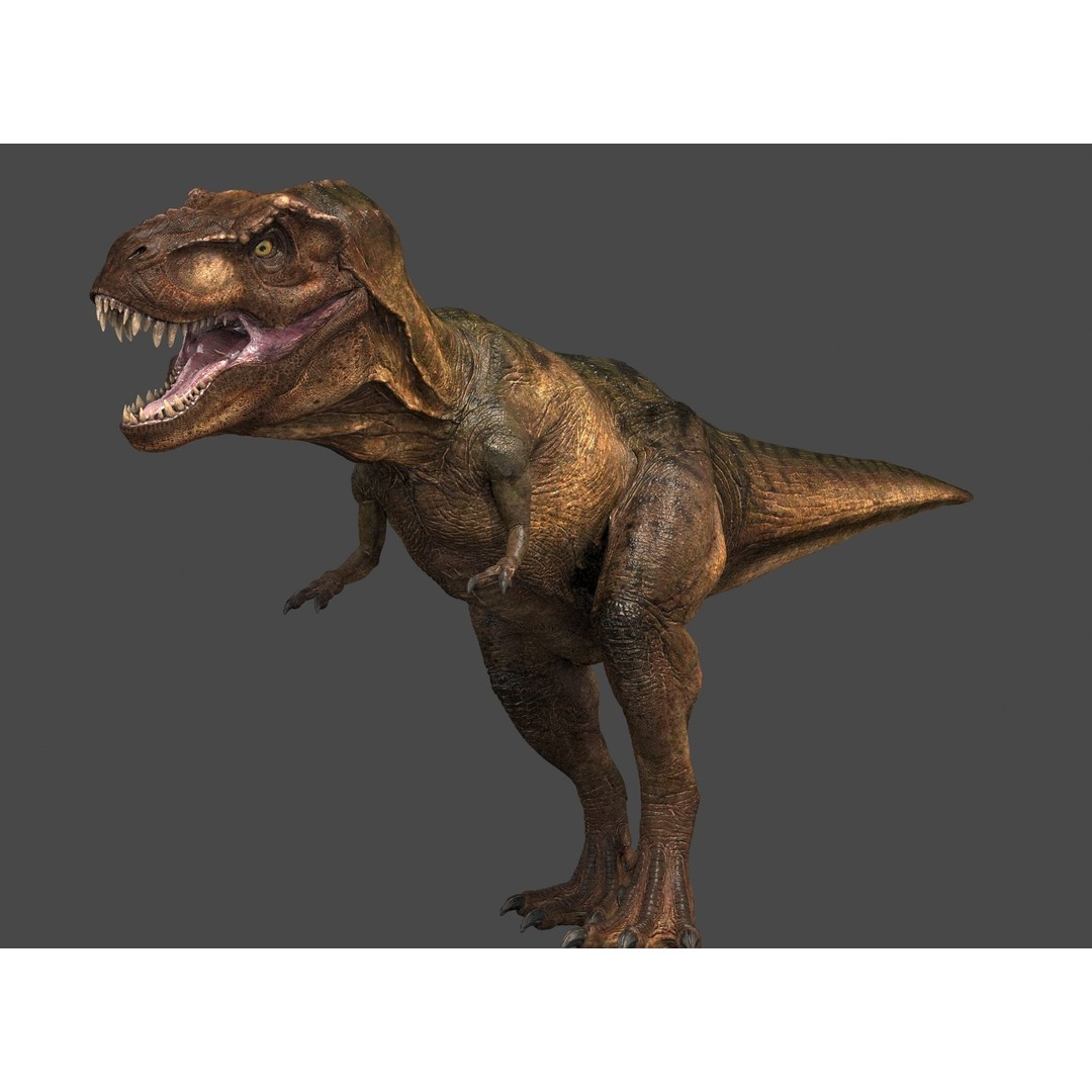 Tyrannosaurus Rex 3D Model – High Detailed Game Ready Animation, FBX - View 11