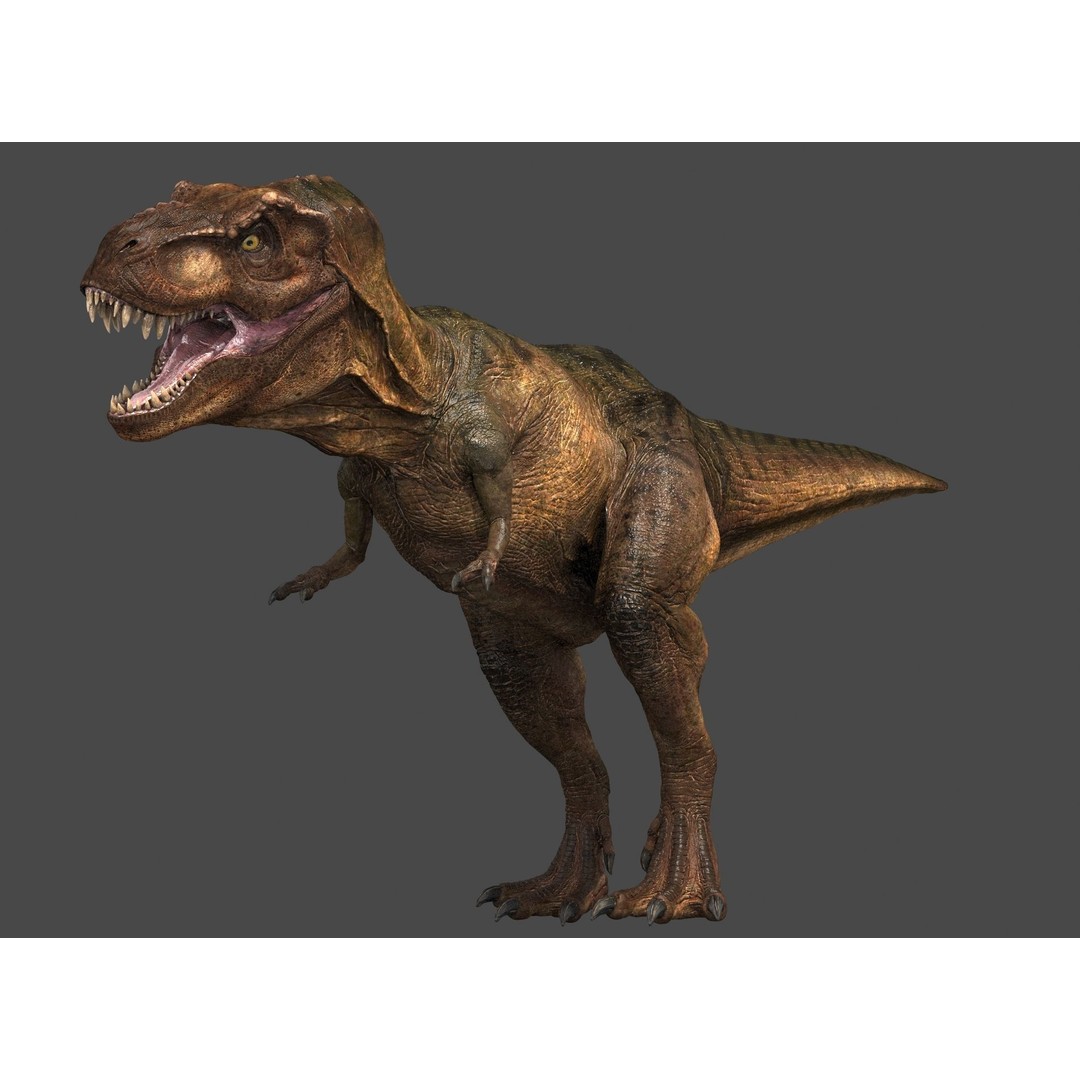 Tyrannosaurus Rex 3D Model – High Detailed Game Ready Animation, FBX - View 12