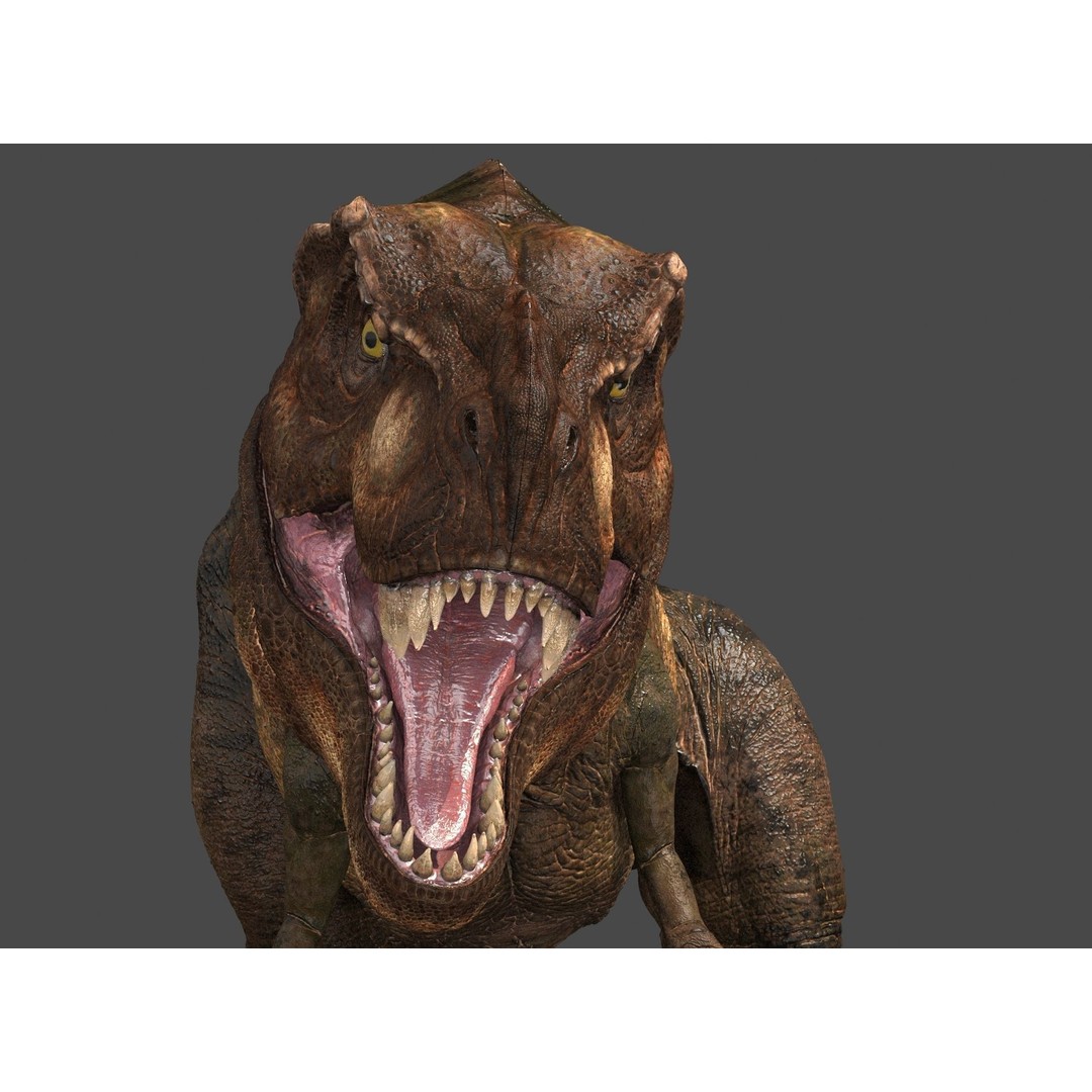 Tyrannosaurus Rex 3D Model – High Detailed Game Ready Animation, FBX - View 13