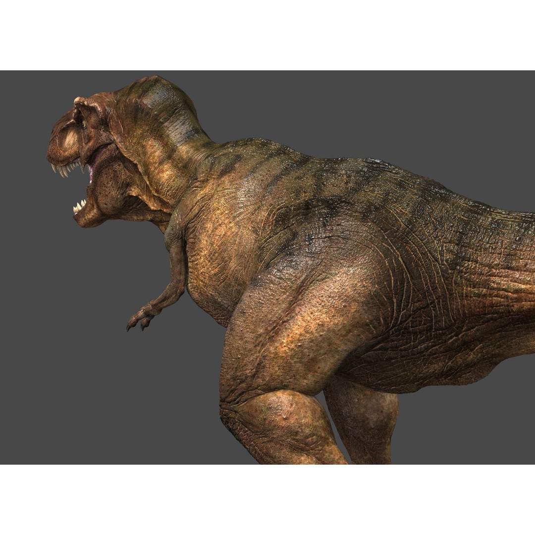 Tyrannosaurus Rex 3D Model – High Detailed Game Ready Animation, FBX - View 14