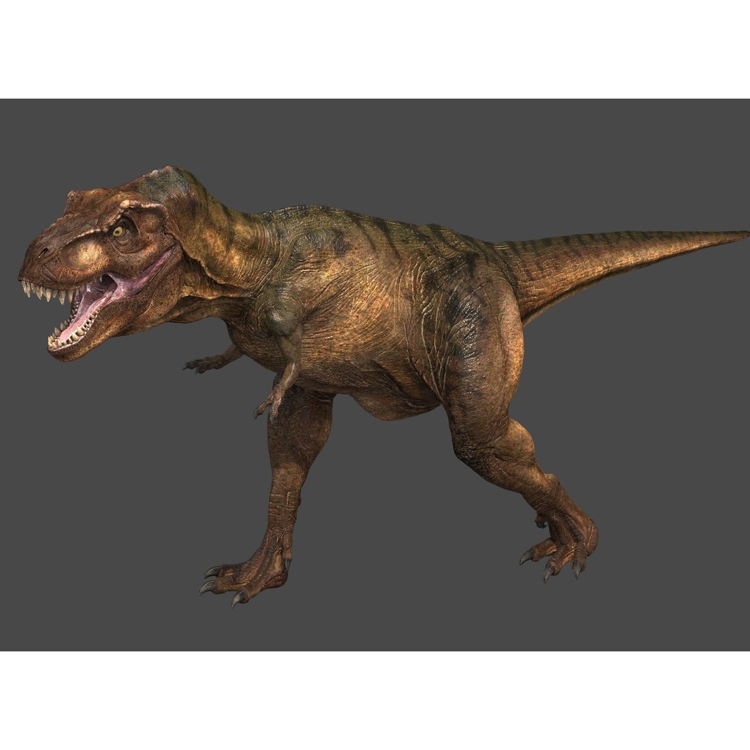 Tyrannosaurus Rex 3D Model – High Detailed Game Ready Animation, FBX - View 15