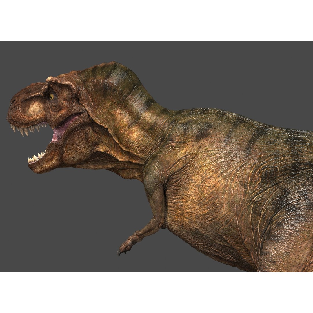 Tyrannosaurus Rex 3D Model – High Detailed Game Ready Animation, FBX - View 17
