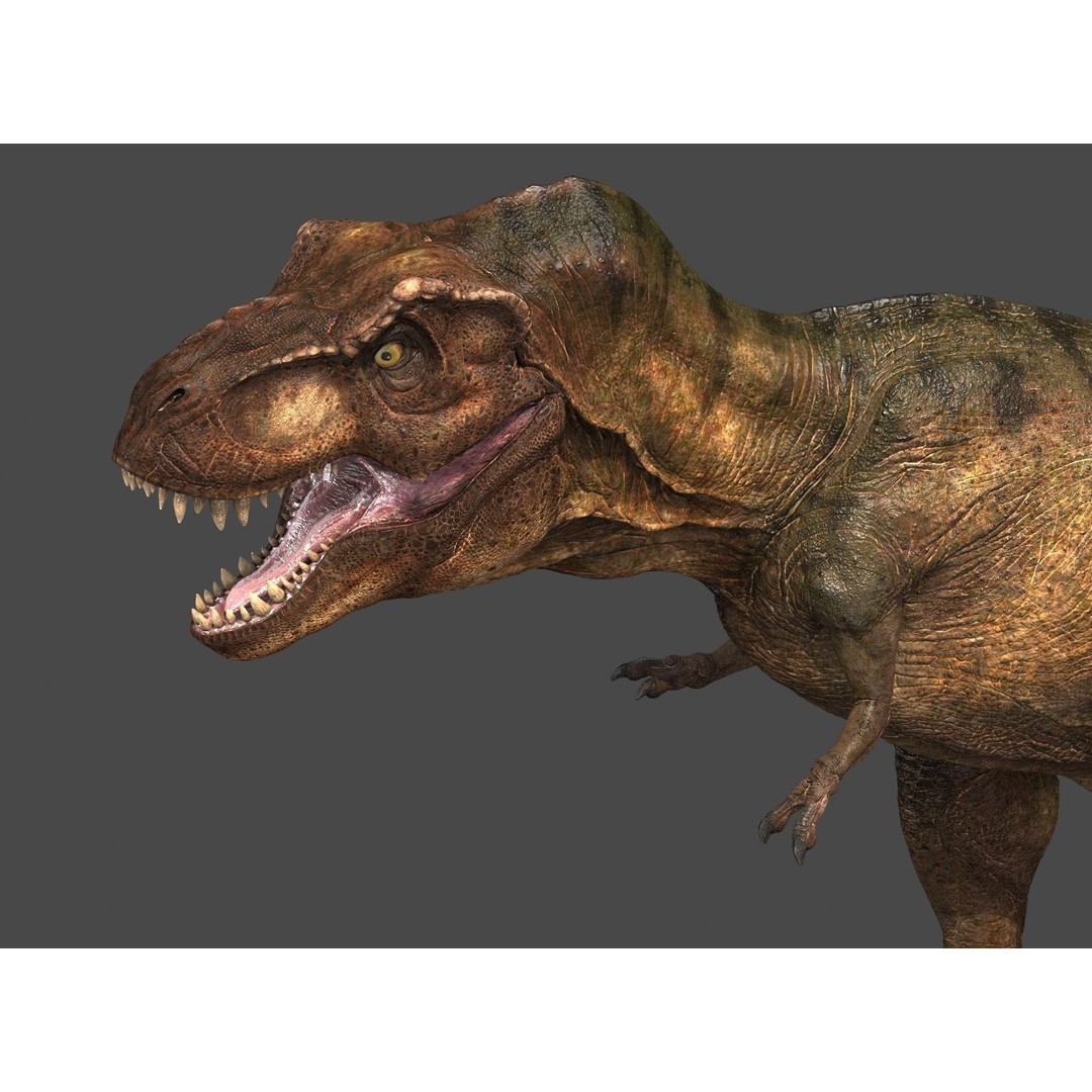 Tyrannosaurus Rex 3D Model – High Detailed Game Ready Animation, FBX - View 18