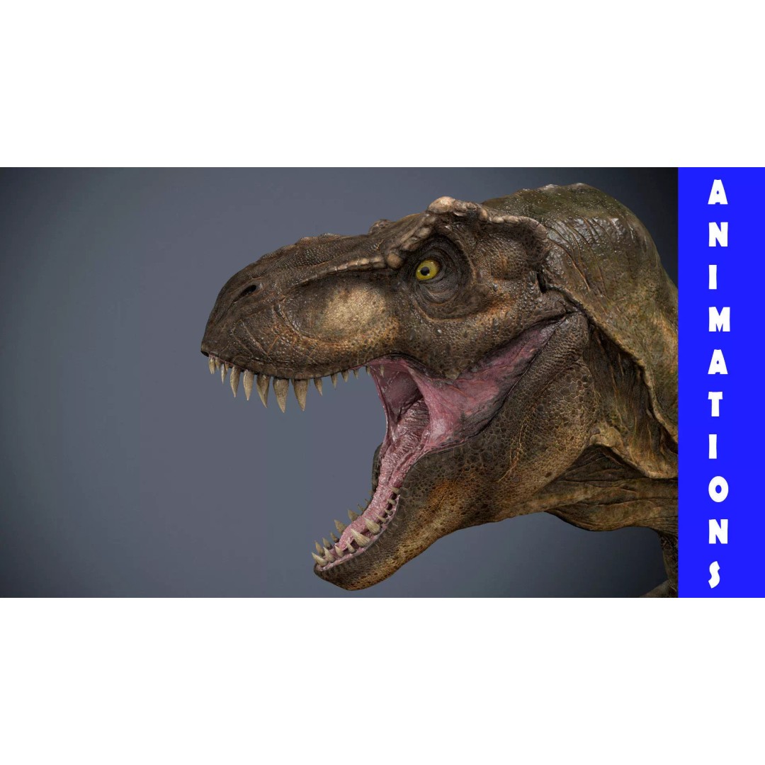 Tyrannosaurus Rex 3D Model – High Detailed Game Ready Animation, FBX - View 2