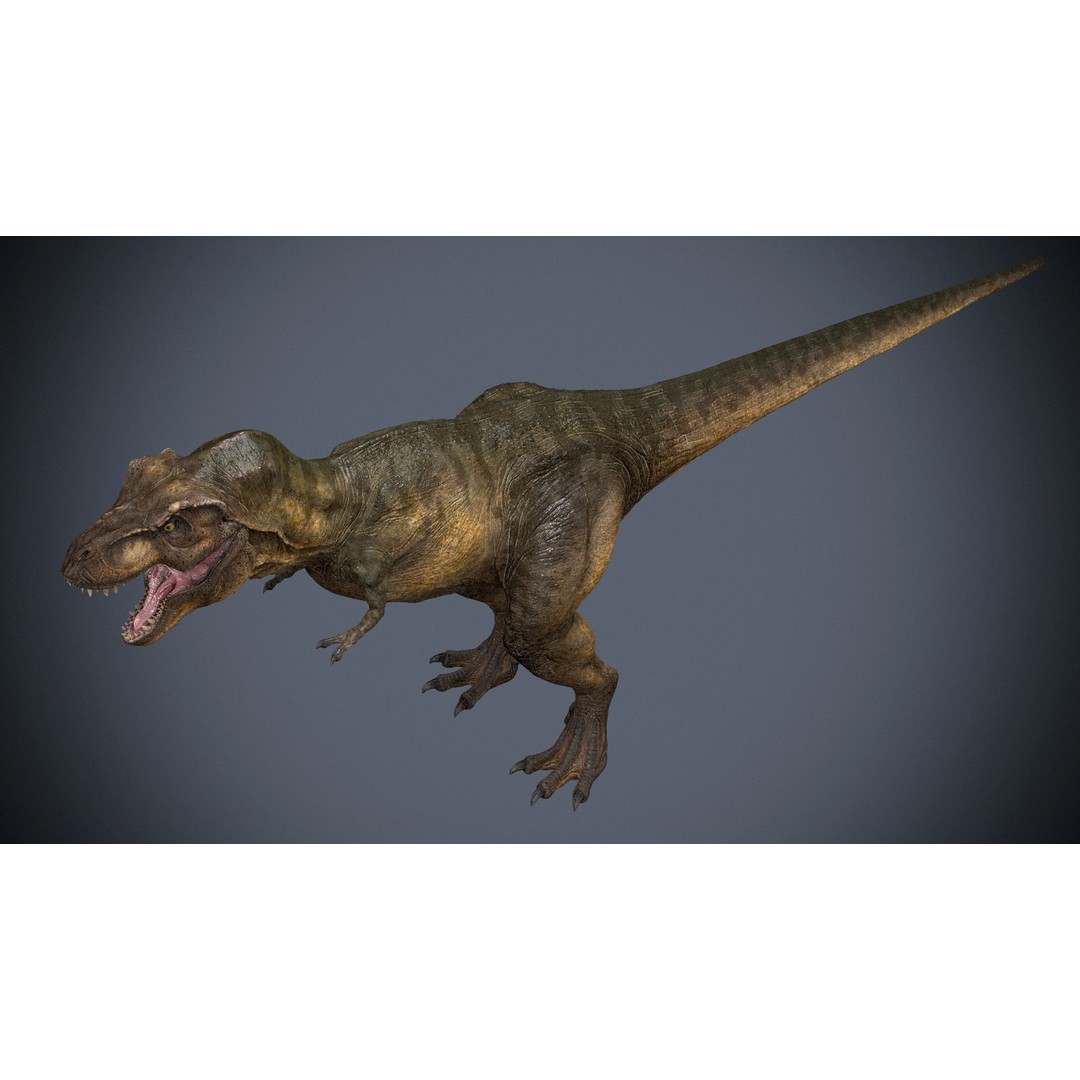 Tyrannosaurus Rex 3D Model – High Detailed Game Ready Animation, FBX - View 3