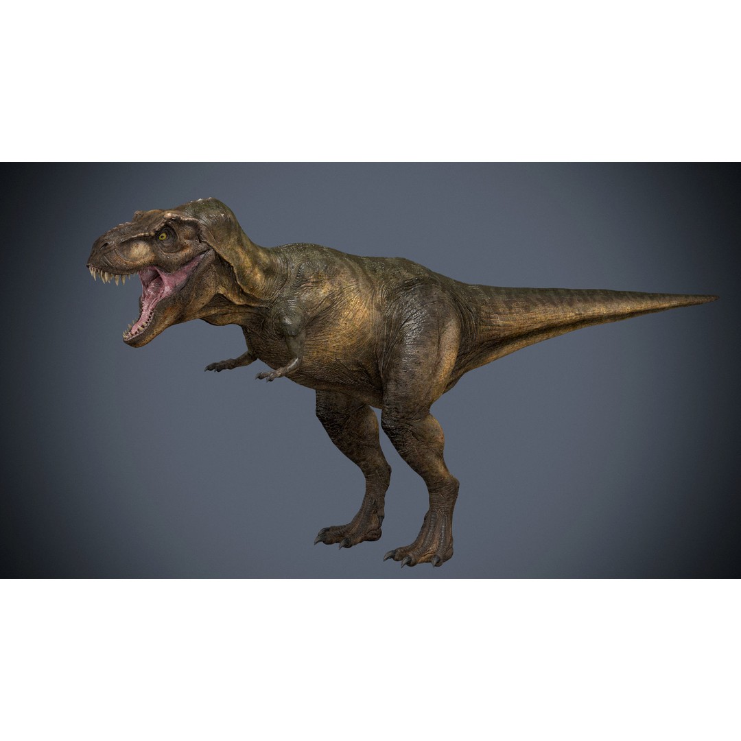 Tyrannosaurus Rex 3D Model – High Detailed Game Ready Animation, FBX - View 4