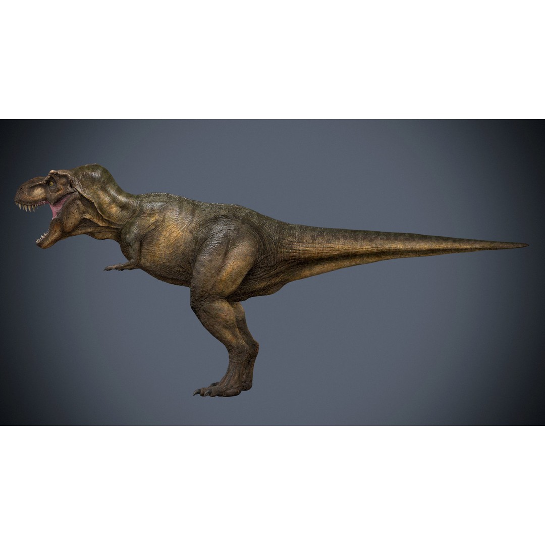 Tyrannosaurus Rex 3D Model – High Detailed Game Ready Animation, FBX - View 5