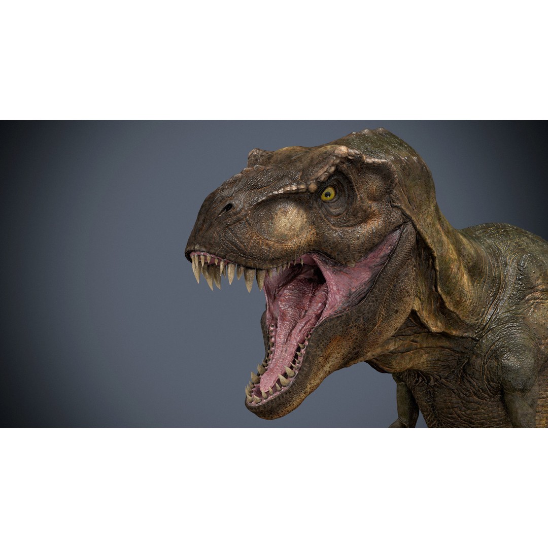 Tyrannosaurus Rex 3D Model – High Detailed Game Ready Animation, FBX - View 6