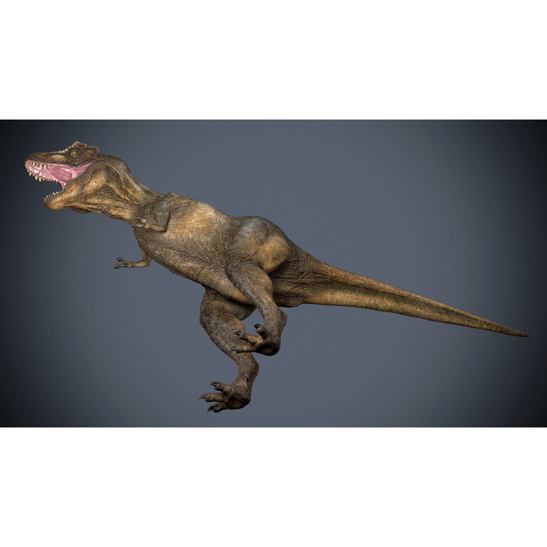 Tyrannosaurus Rex 3D Model – High Detailed Game Ready Animation, FBX - View 7