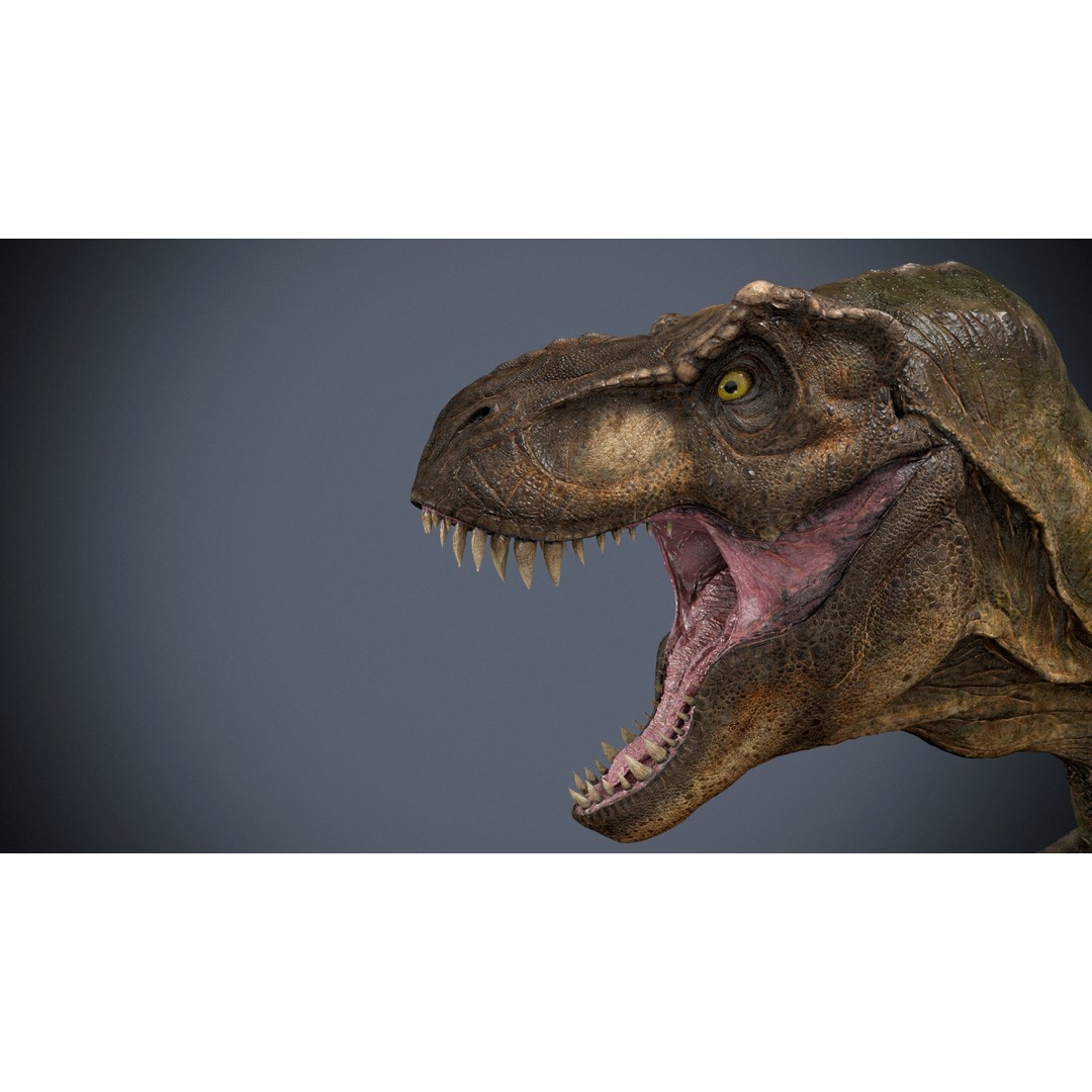 Tyrannosaurus Rex 3D Model – High Detailed Game Ready Animation, FBX - View 8