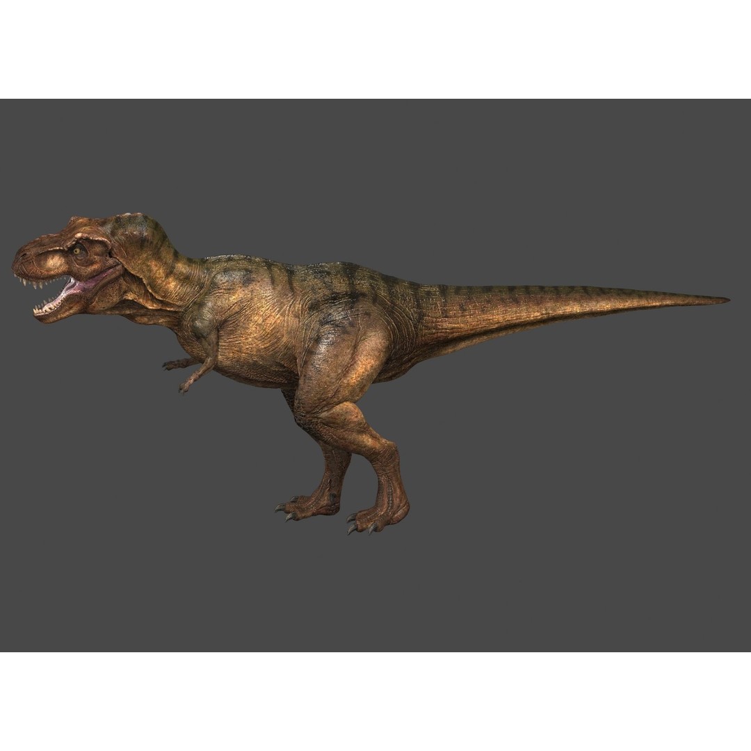 Tyrannosaurus Rex 3D Model – High Detailed Game Ready Animation, FBX - View 9