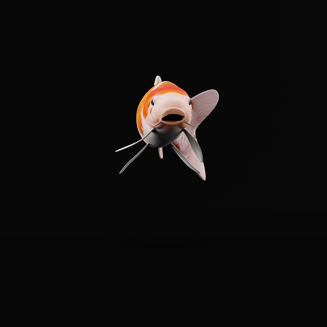Nishikigoi Koi Fish 3D Model – Low Poly Game Asset, FBX, PBR Textures - View 12