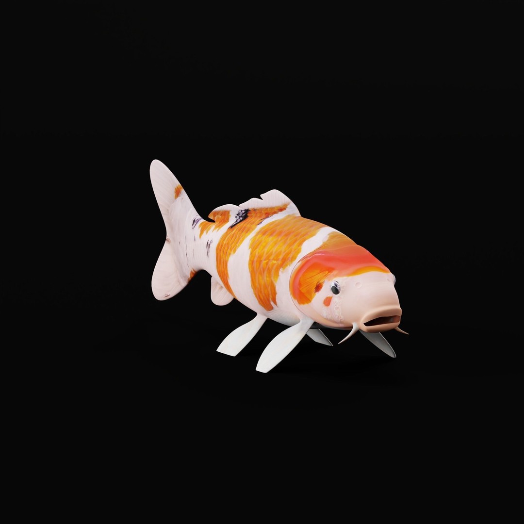 Nishikigoi Koi Fish 3D Model – Low Poly Game Asset, FBX, PBR Textures - View 19