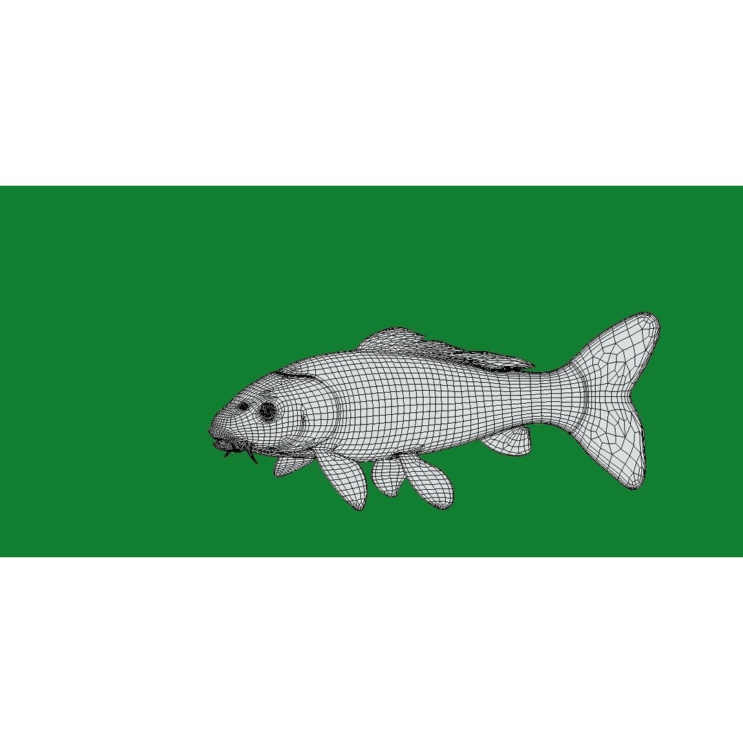Nishikigoi Koi Fish 3D Model – Low Poly Game Asset, FBX, PBR Textures - View 27