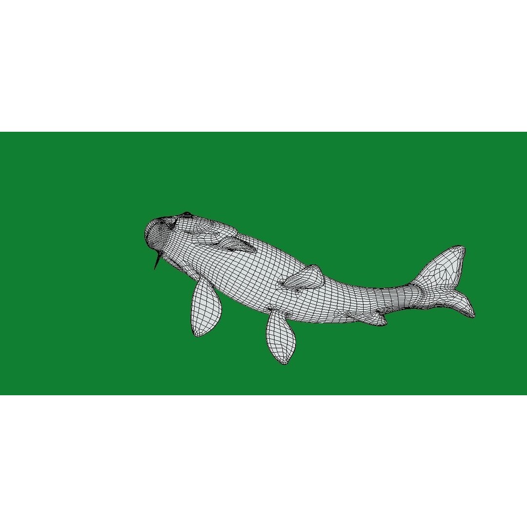 Nishikigoi Koi Fish 3D Model – Low Poly Game Asset, FBX, PBR Textures - View 28